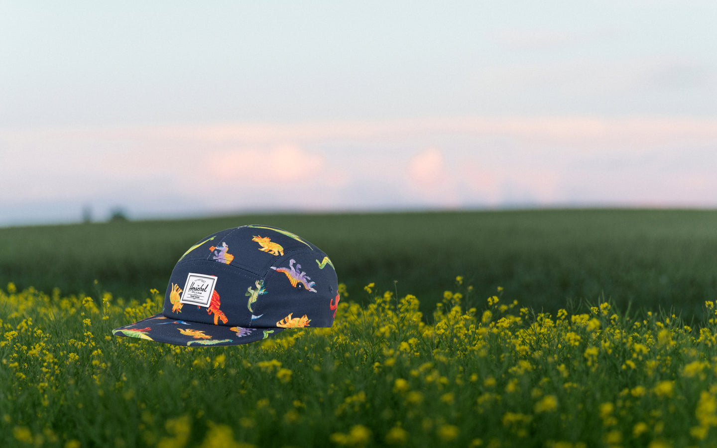 Herschel Supply Co. Glendale Kids Cap in Water Colour Dinosaurs Darkest Navy, featuring a colorful dinosaur pattern on a dark navy background.